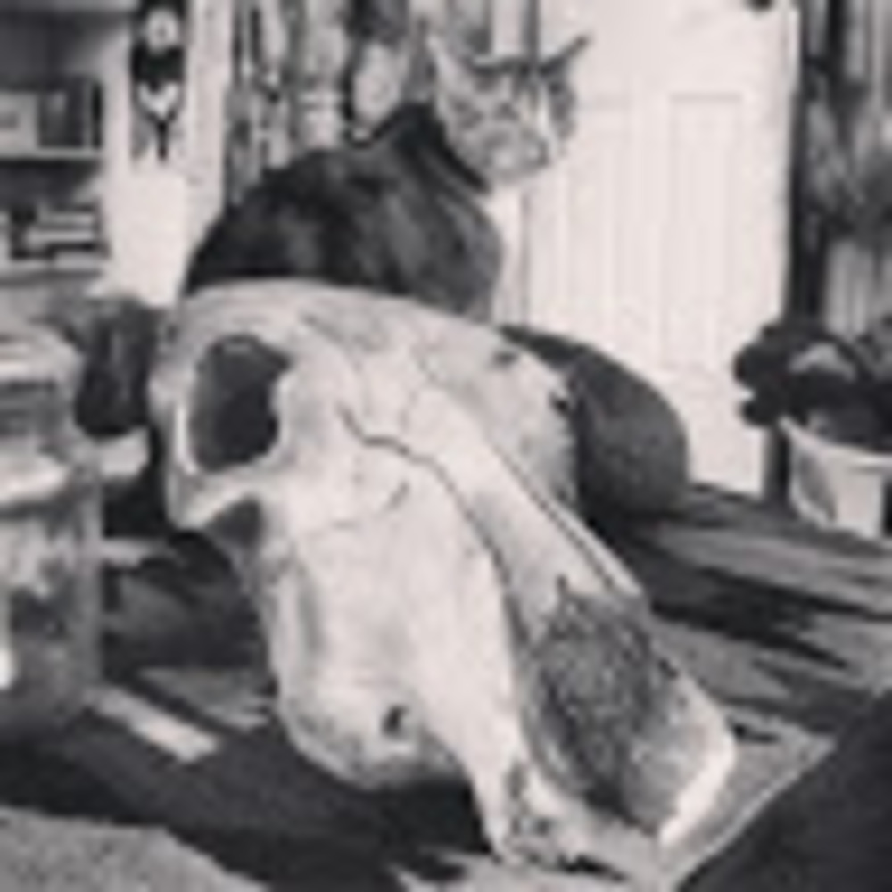 Meet your Posher, Alya